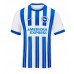 Camisa de time de futebol Brighton Danny Welbeck #18 Replicas 1º Equipamento 2024-25 Manga Curta